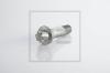 PE Automotive 296.003-00A (29600300A) Screw