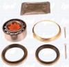 IPD 30-1815 (301815) Wheel Bearing Kit