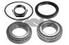 SPIDAN 26682 Wheel Bearing Kit