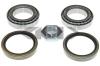 SPIDAN 26960 Wheel Bearing Kit