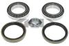 SPIDAN 26803 Wheel Bearing Kit