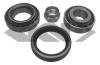 SPIDAN 26629 Wheel Bearing Kit
