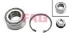 FAG 713631110 Wheel Bearing Kit