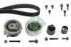 INA 530055010 Timing Belt Kit