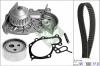INA 530001831 Water Pump & Timing Belt Kit