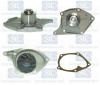 Saleri SIL PA1131 Water Pump
