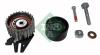 INA 530056109 Pulley Kit, timing belt