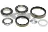 SPIDAN 26376 Wheel Bearing Kit