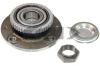 SPIDAN 26996 Wheel Bearing Kit