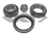 SPIDAN 26725 Wheel Bearing Kit