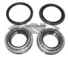 SPIDAN 27519 Wheel Bearing Kit