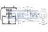 SEM LASTIK 72.4881.C (724881C) Boot, air suspension