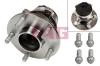 FAG 713678940 Wheel Bearing Kit