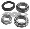 SPIDAN 26420 Wheel Bearing Kit