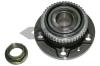 SPIDAN 26965 Wheel Bearing Kit
