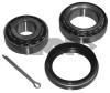 SPIDAN 27636 Wheel Bearing Kit