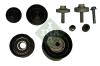 INA 530036309 Pulley Kit, timing belt