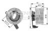 FLENNOR FS60999 Tensioner Pulley, timing belt