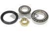 SPIDAN 26466 Wheel Bearing Kit