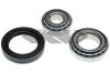 SPIDAN 26393 Wheel Bearing Kit