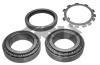 SPIDAN 27097 Wheel Bearing Kit