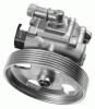 ZF 8001756 Hydraulic Pump, steering system
