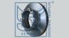 ST-TEMPLIN 03.110.3021.000 (031103021000) Brake Disc