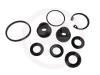 AUTOFREN SEINSA D1678 Repair Kit, brake master cylinder