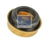 DT 1.11029 (111029) Shaft Seal, water pump shaft