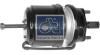 DT 1.18885 (118885) Spring-loaded Cylinder