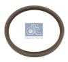 DT 2.10069 (210069) Shaft Seal, crankshaft