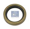 DT 4.20175 (420175) Shaft Seal, differential