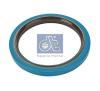 DT 5.30101 (530101) Shaft Seal, wheel hub
