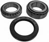 NK 762321 Wheel Bearing Kit