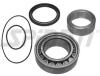 SPIDAN 26913 Wheel Bearing Kit