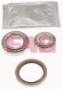 FAG 713618100 Wheel Bearing Kit