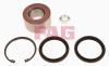 FAG 713610190 Wheel Bearing Kit