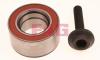 FAG 713610290 Wheel Bearing Kit