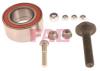 FAG 713610030 Wheel Bearing Kit