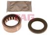 FAG 713618280 Wheel Bearing Kit