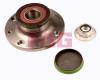 FAG 713610520 Wheel Bearing Kit