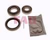 FAG 713615310 Wheel Bearing Kit