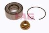 FAG 713620310 Wheel Bearing Kit