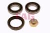 FAG 713625130 Wheel Bearing Kit