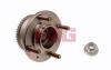 FAG 713619450 Wheel Bearing Kit
