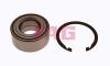 FAG 713619500 Wheel Bearing Kit