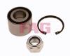 FAG 713630250 Wheel Bearing Kit