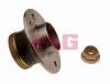 FAG 713630310 Wheel Bearing Kit