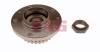 FAG 713650510 Wheel Bearing Kit