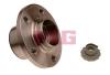 FAG 713610470 Wheel Bearing Kit